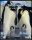 0018_WAP-SASISA-RU_Penguins.thm