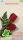 Red_Roses_SE_aino_a23.thm